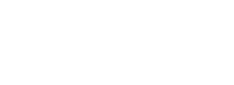 Viva Conversion