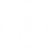 TikTok Marketing Partners